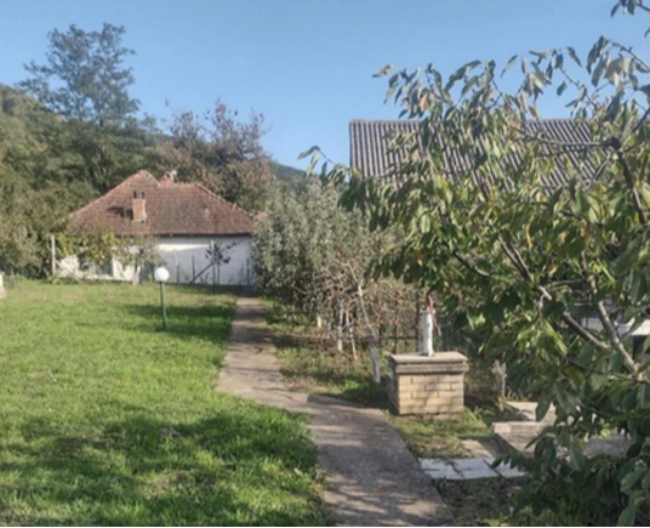 SLOBODAN PRODAJE KUĆU ZA 39.000 EVRA I TO U POZNATOJ BANJI Ima voćnjak i fontanu I SVE JE UKNJIŽENO (FOTO)